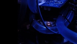 10071-medium.jpg