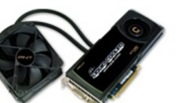 21667-medium.jpg