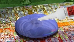21686-medium.jpg