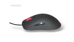 21946-medium.jpg