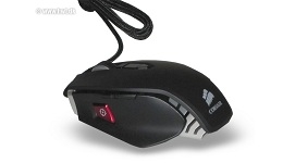 22012-medium.jpg