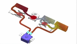 22095-medium.jpg
