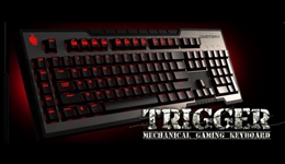 22118-medium.jpg