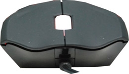 22146-medium.jpg