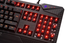 22191-medium.jpg