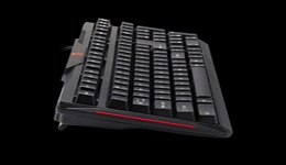 22331-medium.jpg