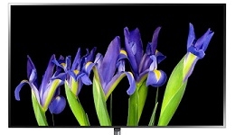 22384-medium.jpg