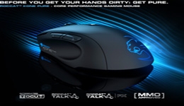 22615-medium.jpg