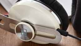 23069-medium.jpg