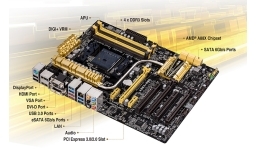 23230-medium.jpg