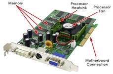 23424-medium.jpg