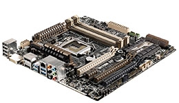 23594-medium.jpg