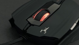 23602-medium.jpg