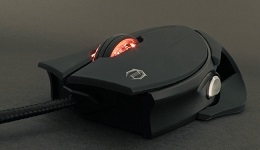 23603-medium.jpg