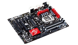 23610-medium.jpg
