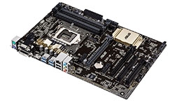 23673-medium.jpg