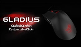 23881-medium.jpg