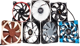 23913-medium.jpg