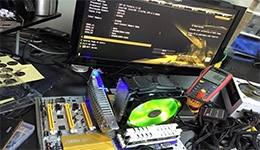 23977-medium.jpg