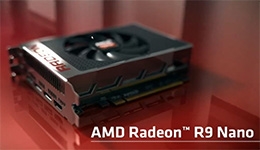 24063-medium.jpg