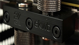 24195-medium.jpg