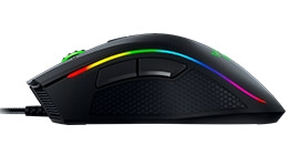 24213-medium.jpg