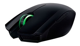 24342-medium.jpg