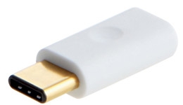 24382-medium.jpg