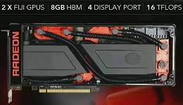 24426-medium.jpg
