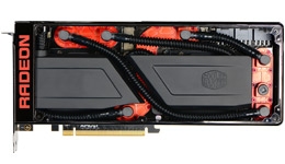 24489-medium.jpg