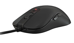 24554-medium.jpg
