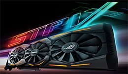 24569-medium.jpg