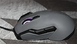 24668-medium.jpg