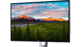 24809-medium.jpg