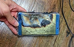 24824-medium.jpg