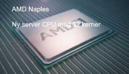 24864-medium.jpg