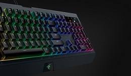 24888-medium.jpg
