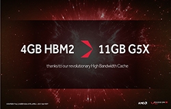 24924-medium.jpg
