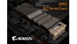 24971-medium.jpg