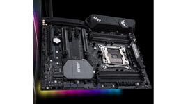 25075-medium.jpg