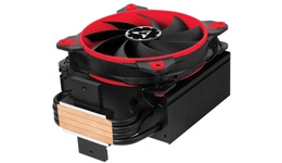 25096-medium.jpg