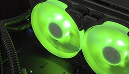 25099-medium.jpg