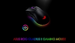 25246-medium.jpg