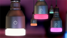 25286-medium.jpg
