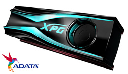 25400-medium.jpg