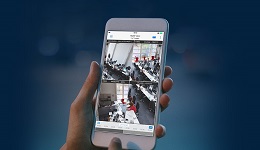 25439-medium.jpg