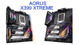 25446-medium.jpg
