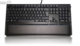 25463-medium.jpg