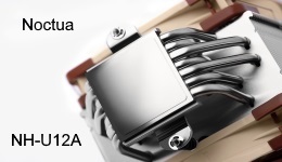 25642-medium.jpg