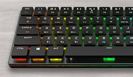 25690-medium.jpg